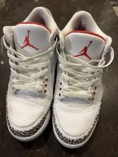 Nike Air Jordan 3 フリースローライン