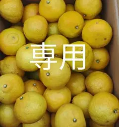 ☆ジュン☆様専用ページです。