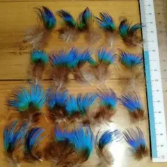 Item thumbnail for item e35339aa-8863-4cbd-8ab5-5b3c676736d7