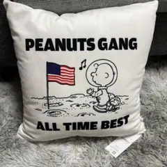 ポルノグラフィティPEANUTSクッション