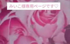 みいこ様専用ページです♡