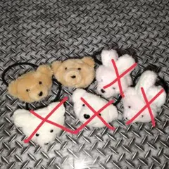美品☆WEGO☆ぬいぐるみ茶くまヘアゴム2つセット
