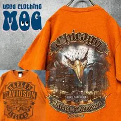 《US古着》ハーレーダビッドソン イーグル 両面プリント Tシャツ メンズM-L