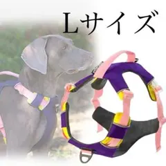 Item thumbnail for item 3b76f52c-720a-4960-becb-6ed7b816157f