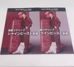 新品☆山田涼介メイベリンシャインビーストリップフライヤーリーフレット2枚
