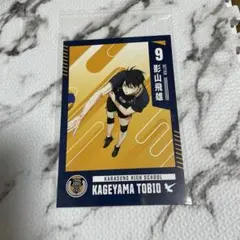 ハイキュー　影山飛雄　ポストカード