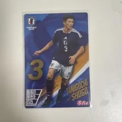 谷口彰悟 日本代表 トレーディングカード ぷっちょ