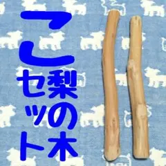 Item thumbnail for item 856b21d1-d374-4420-be4e-c84063613f47