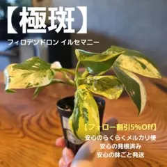 2026年最新】イルセマニーの人気アイテム - メルカリ