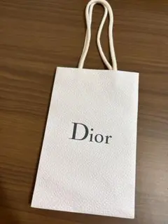 Dior ショッパー 2点セット