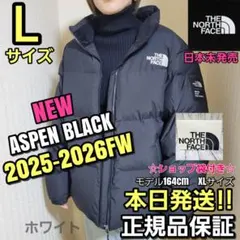 ノースフェイス⭐THE NORTH FACE ASPEN ダウンジャケット L黒