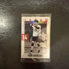 Yuki Ishikawa バレーボールカード 14番