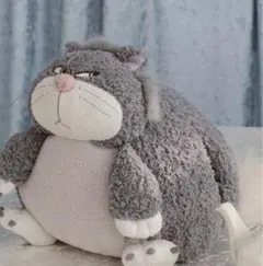 ジェラピケ　ルシファー　ポンチョ 2025年最新】ルシファー ジェラートピケの人気アイテム - メルカリ