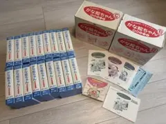 かな絵ちゃんA/フラッシュカード/ 英語版/0001~0600/しちだ - メルカリ