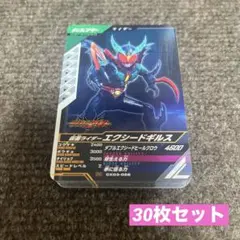 仮面ライダー ガンバレジェンズ エクシードギルス 30枚セット