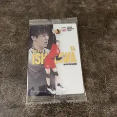 石川祐希 バレーボール 日本代表 トレーディングカード ツインウエハース