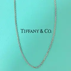 44.5cm・美品】ティファニー スネークチェーンのみ ネックレス