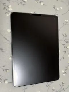 Apple iPad Pro 11インチ 第2世代 256GB スペースグレー