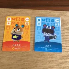 どう森　アミーボカード