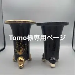 Tomo様専用ページ