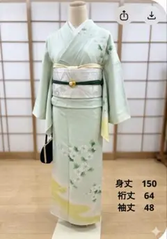 訪問着 着物 袷 金彩加工 手染め 緑 草花文 裄66.5 M 中古 sn967