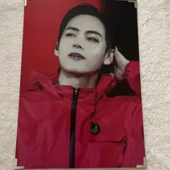 テテ プレミアムフォト