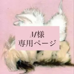 M様 専用ページ