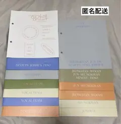 SEVENTEEN ヘンガレ ボカチ フォトブック まとめ売り セブチ