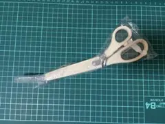 Item thumbnail for item b37ad21d-f67f-4987-9e47-0f7bf5896ef4