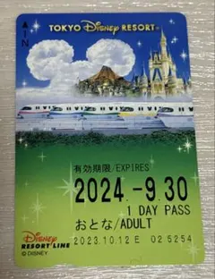 2026年最新】リゾートライン 使用済みの人気アイテム - メルカリ