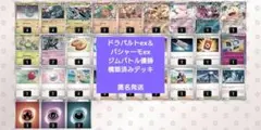 ドラパルトex＆バシャーモexデッキ ジムバトル優勝 構築済みデッキのサムネイル