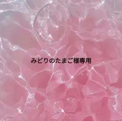 みどりのたまご様専用