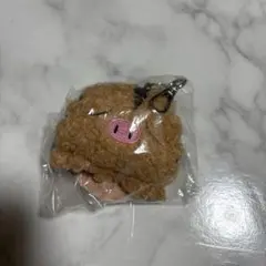 ポケモン ウリムー ぬいぐるみ キーホルダー　マスコット ぺたんこ 韓国限定のサムネイル