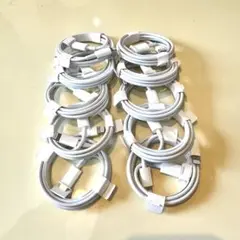 Apple 純正品 10個 ライトニングケーブル USB-C タイプC