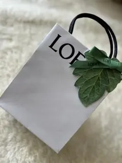 【新品未使用】LOEWE 001 ウーマン ギフトバック付 国内発送ロエベ 2024人気商品 カメラバッグ ポシェット