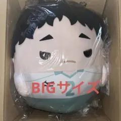 2025年最新】松川一静 ぬいの人気アイテム - メルカリ