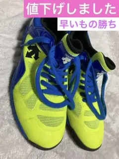 Item thumbnail for item 8badaae3-8f61-409a-90a5-bbcc3436b09a