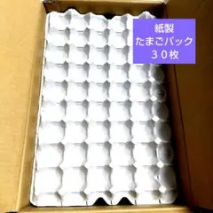 종이 달걀 팩 30개