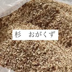 Item thumbnail for item 08511ebe-fc71-4777-bebc-f7bfa14f8c40