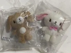 2025年最新】シュガーバニーズぬいぐるみの人気アイテム - メルカリ