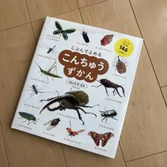 Item thumbnail for item 98ae50a4-2cc7-4dcd-9dd5-5249fe279865