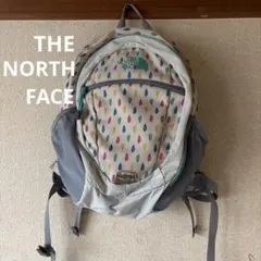 THE NORTH FACE SMALL DAY リュック　葉っぱ柄カラフル