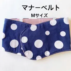 Item thumbnail for item 39e8b179-1f47-438f-912d-47f435bb5479