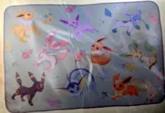 ポケットモンスター　プレミアム巾着付ブランケット