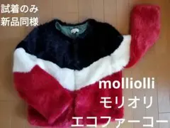 韓国★トゥモローランド★モリオリ★エコファー★カラージャケッㇳ★Mのサムネイル