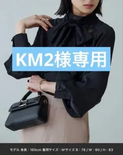 トライアングルレースボウタイブラウス｜長袖ハイネックトップス ルイルエブティック