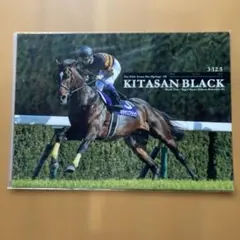 キタサンブラック クリアファイル　JRA