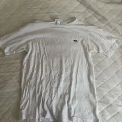 LACOSTE ラコステ スリムフィット Tシャツ ホワイト