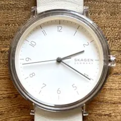 【ユニセックス】SKAGEN (SKW6605) AAREN 40MMのサムネイル