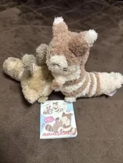 ポケモン ぶるぶる…むぎゅ！ぬいぐるみ オタチ＆オオタチ ポケセン